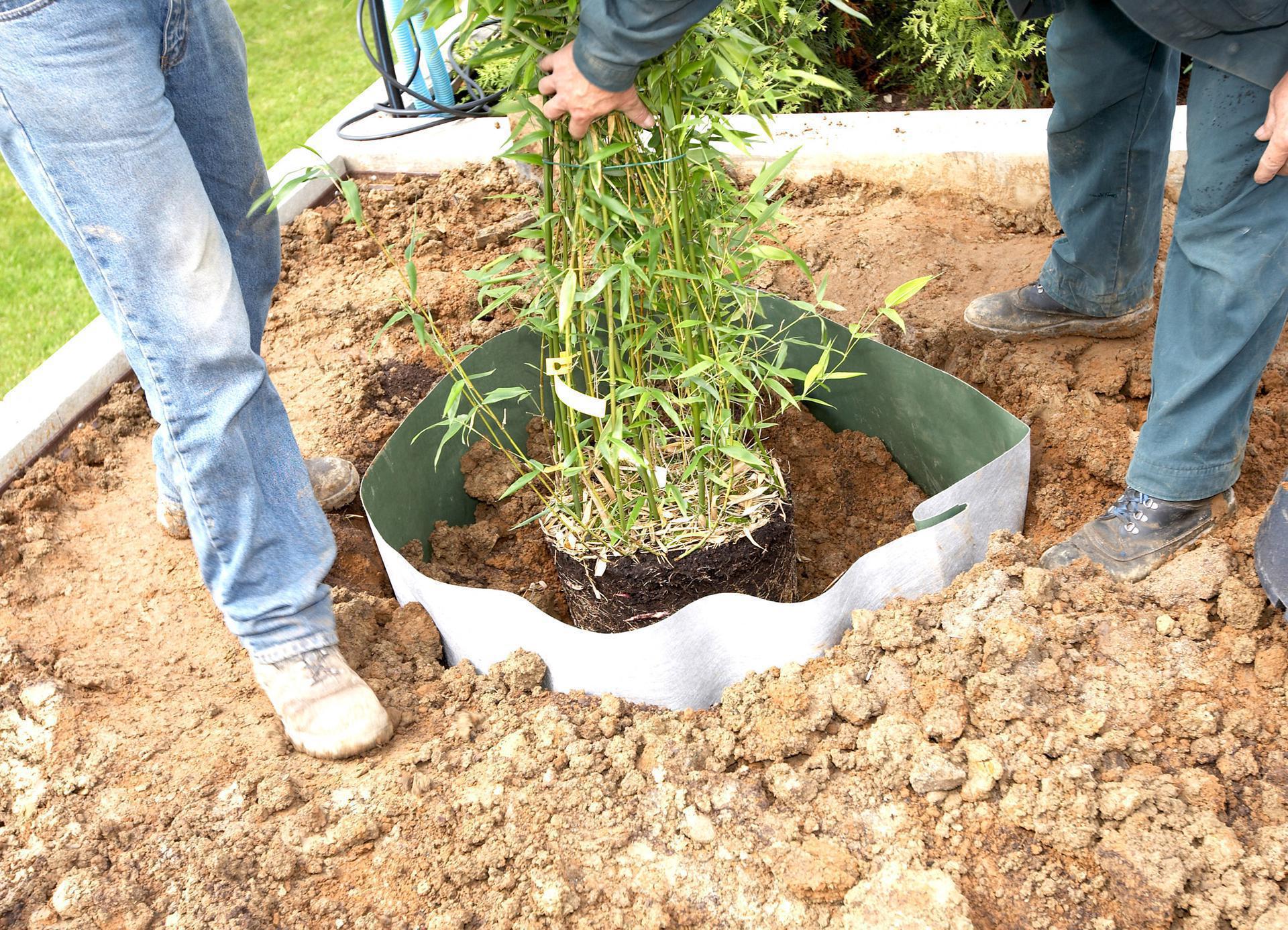 Plantex Wurzelsperre (Root Barrier)